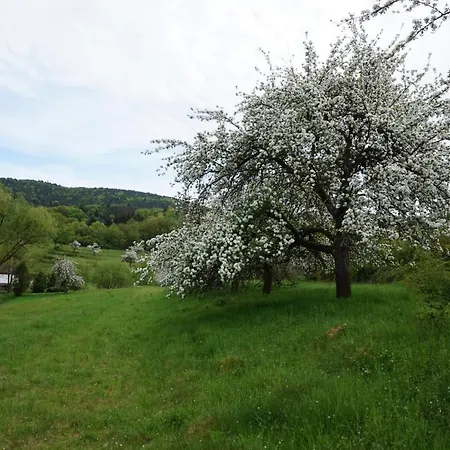 Gemütliches Ferienhaus Mitten Im Pfälzer Wald *